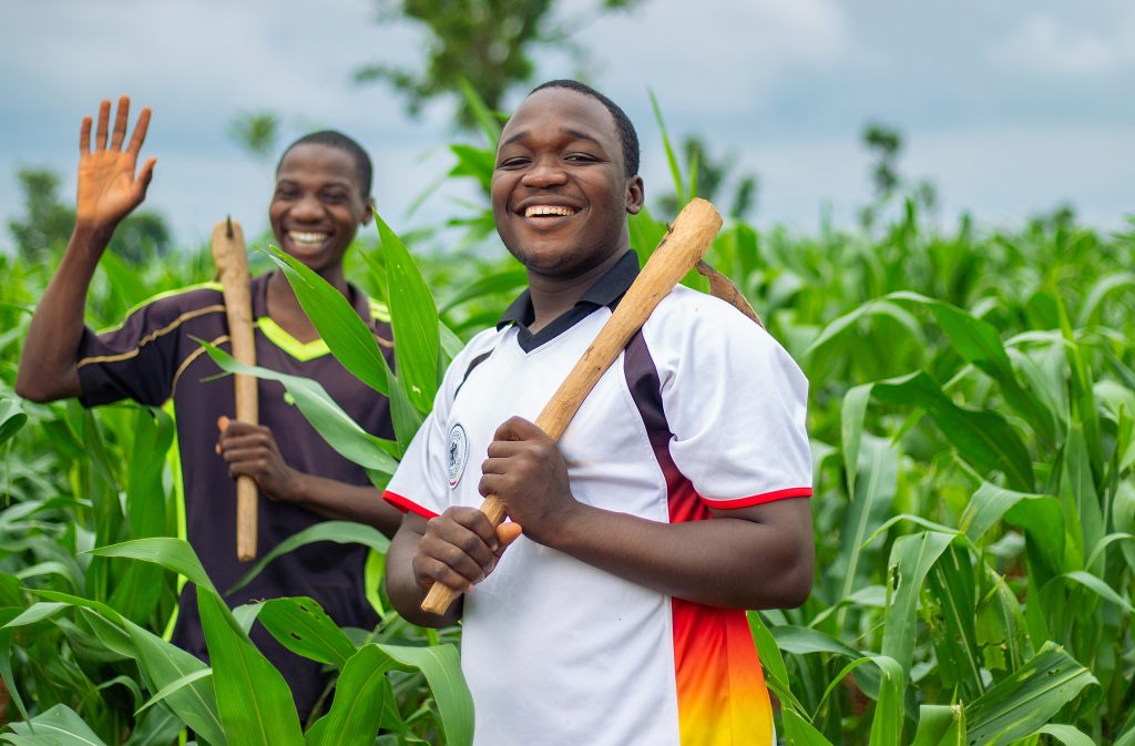 Agricultural Triumphs